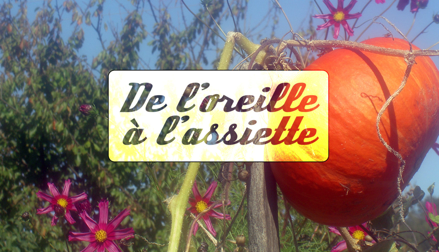 de_loreille_a_lassiette